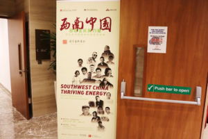 south west china thriving energy artwork show